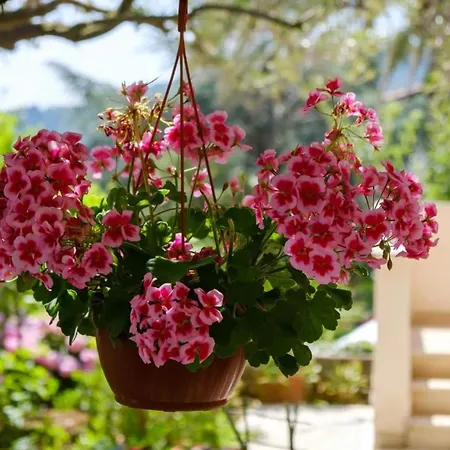 Secret Garden - Happy